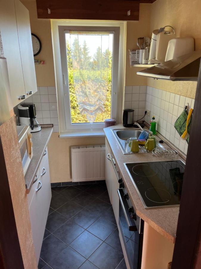 Ferienhaus Guenther Harzgerode/Schielo Esterno foto